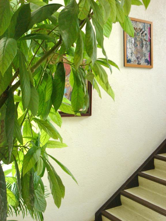 Dakini'S Bed & Breakfast Zürich Exterior foto